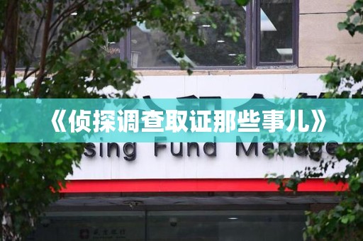 宁都《侦探调查取证那些事儿》