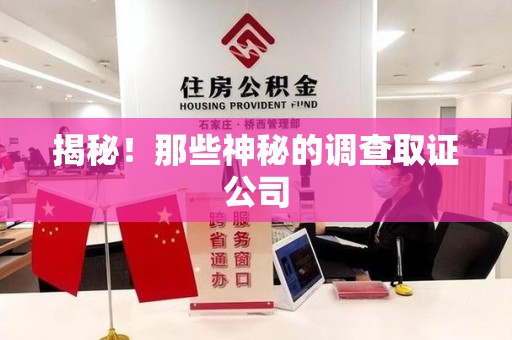 宁都揭秘！那些神秘的调查取证公司