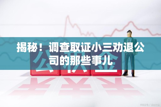 宁都揭秘！调查取证小三劝退公司的那些事儿