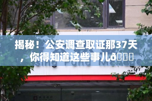 宁都揭秘！公安调查取证那37天，你得知道这些事儿😎