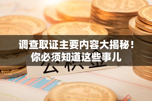 宁都调查取证主要内容大揭秘！你必须知道这些事儿