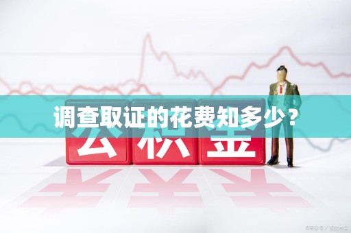 宁都调查取证的花费知多少？